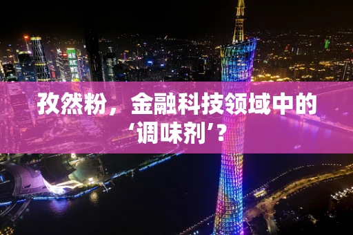 孜然粉，金融科技领域中的‘调味剂’？