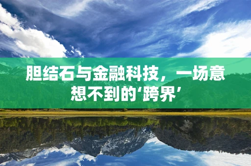 胆结石与金融科技，一场意想不到的‘跨界’