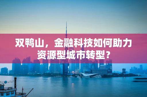 双鸭山，金融科技如何助力资源型城市转型？