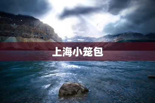 上海小笼包