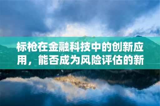 标枪在金融科技中的创新应用，能否成为风险评估的新利器？