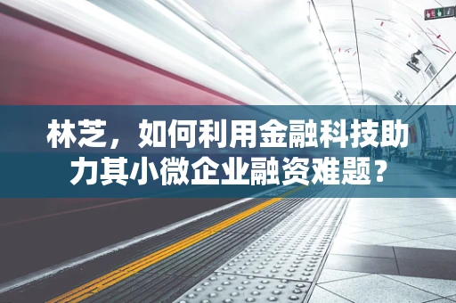 林芝，如何利用金融科技助力其小微企业融资难题？