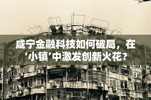 咸宁金融科技如何破局，在‘小镇’中激发创新火花？