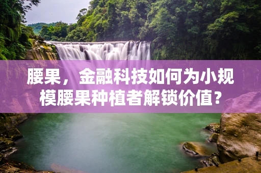 腰果，金融科技如何为小规模腰果种植者解锁价值？