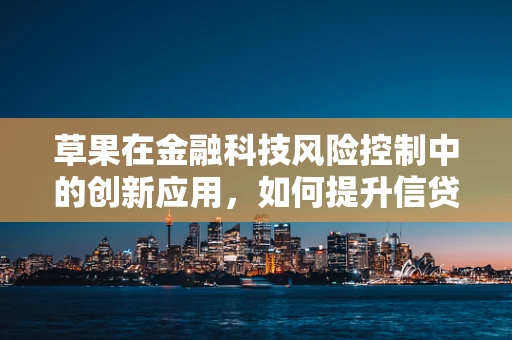 草果在金融科技风险控制中的创新应用，如何提升信贷审核的精准度？