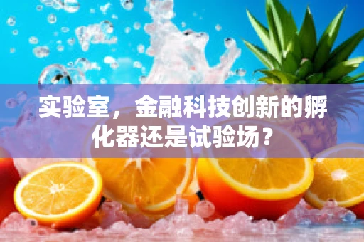 实验室，金融科技创新的孵化器还是试验场？