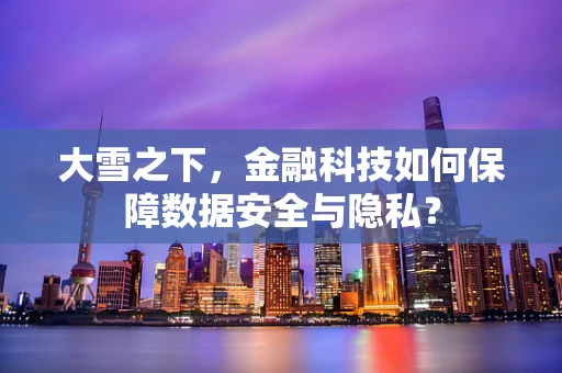 大雪之下，金融科技如何保障数据安全与隐私？