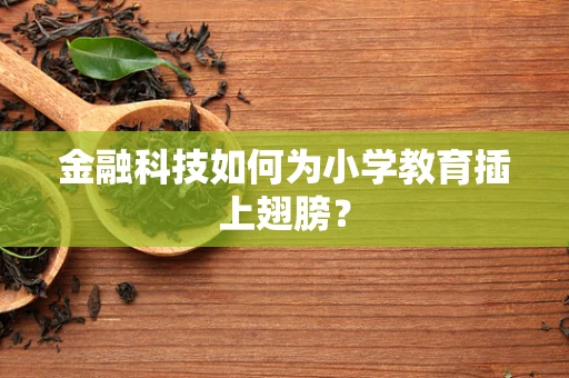 金融科技如何为小学教育插上翅膀？