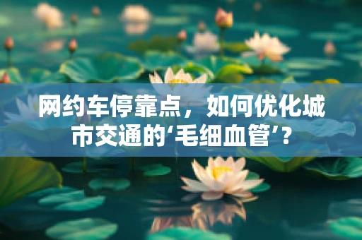 网约车停靠点，如何优化城市交通的‘毛细血管’？