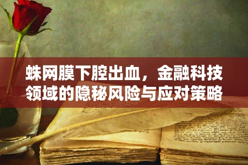 蛛网膜下腔出血，金融科技领域的隐秘风险与应对策略