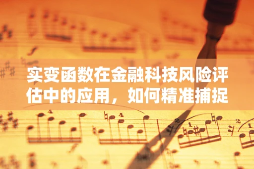 实变函数在金融科技风险评估中的应用，如何精准捕捉市场微变？