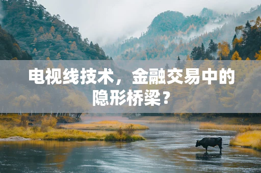 电视线技术，金融交易中的隐形桥梁？