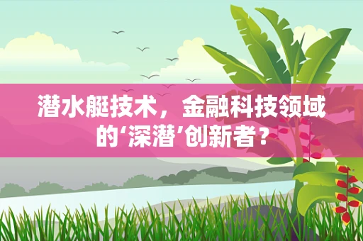 潜水艇技术，金融科技领域的‘深潜’创新者？
