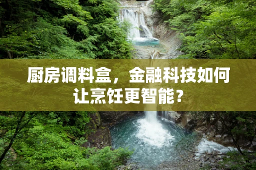 厨房调料盒，金融科技如何让烹饪更智能？