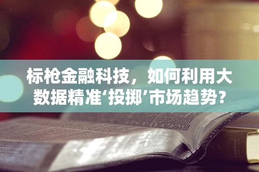 标枪金融科技，如何利用大数据精准‘投掷’市场趋势？