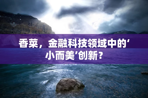 香菜，金融科技领域中的‘小而美’创新？