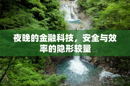 夜晚的金融科技，安全与效率的隐形较量