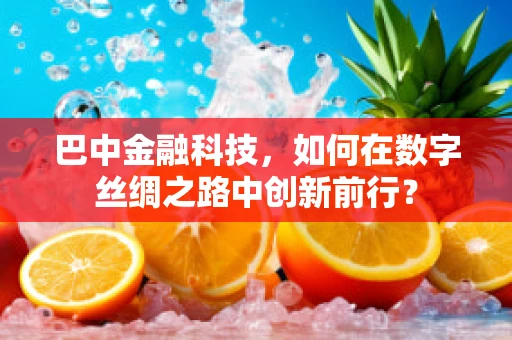 巴中金融科技，如何在数字丝绸之路中创新前行？