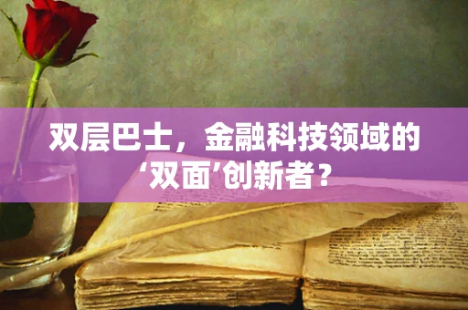 双层巴士，金融科技领域的‘双面’创新者？