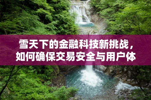 雪天下的金融科技新挑战，如何确保交易安全与用户体验？