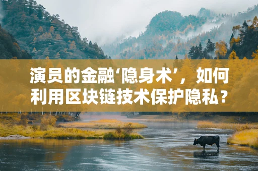 演员的金融‘隐身术’，如何利用区块链技术保护隐私？