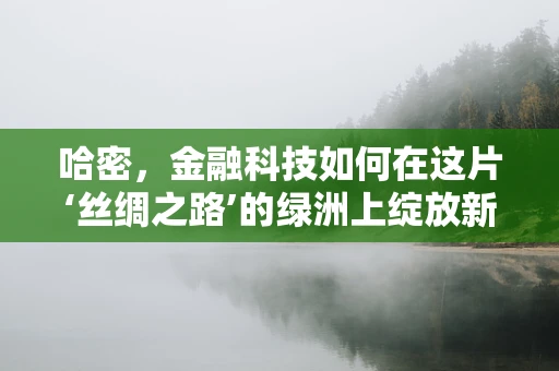 哈密，金融科技如何在这片‘丝绸之路’的绿洲上绽放新机遇？