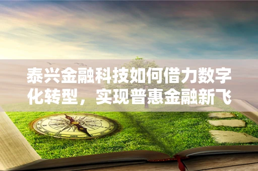 泰兴金融科技如何借力数字化转型，实现普惠金融新飞跃？