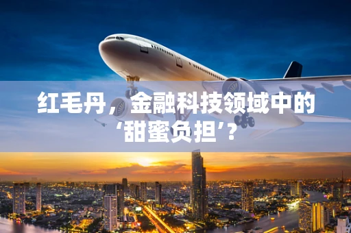 红毛丹，金融科技领域中的‘甜蜜负担’？