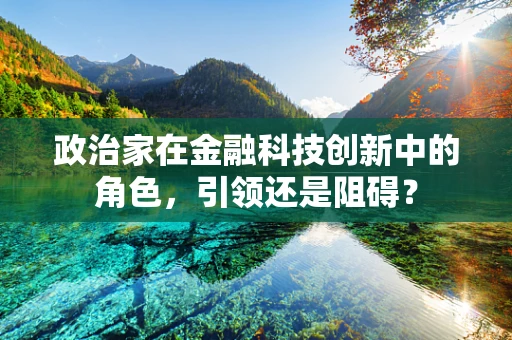 政治家在金融科技创新中的角色，引领还是阻碍？