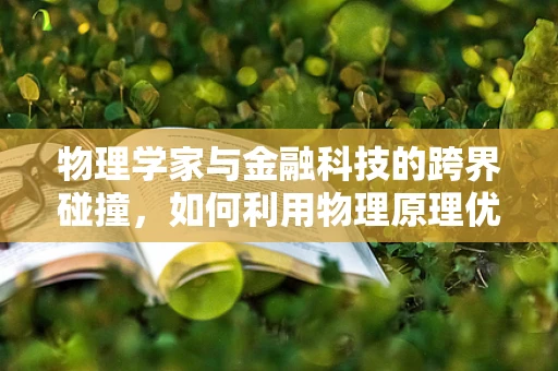 物理学家与金融科技的跨界碰撞，如何利用物理原理优化风险评估？