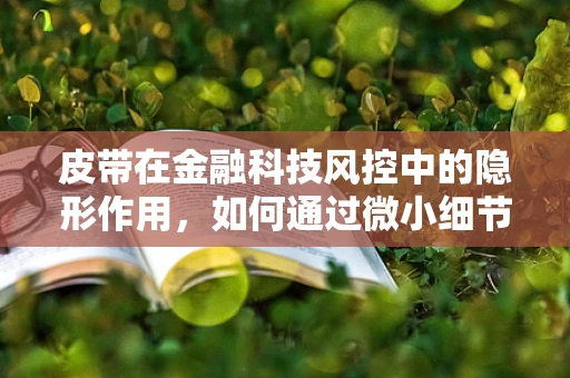 皮带在金融科技风控中的隐形作用，如何通过微小细节提升安全防线？