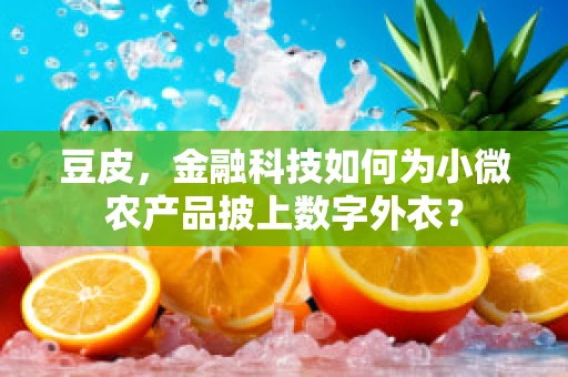 豆皮，金融科技如何为小微农产品披上数字外衣？