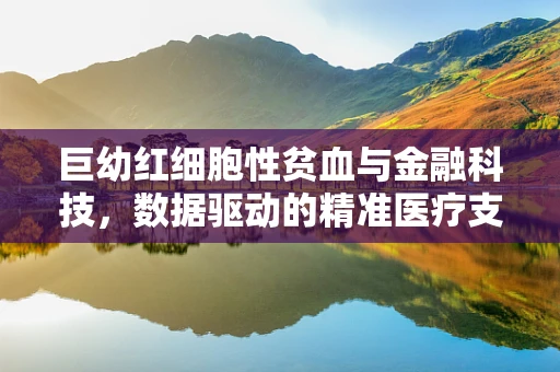 巨幼红细胞性贫血与金融科技，数据驱动的精准医疗支付创新？