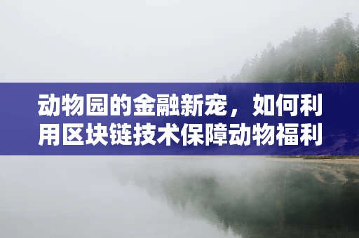 动物园的金融新宠，如何利用区块链技术保障动物福利？