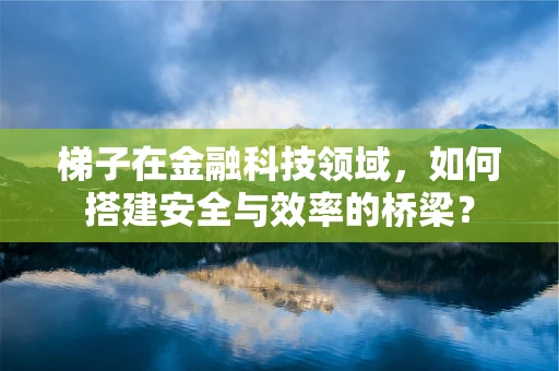 梯子在金融科技领域，如何搭建安全与效率的桥梁？