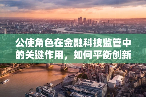 公使角色在金融科技监管中的关键作用，如何平衡创新与风险？
