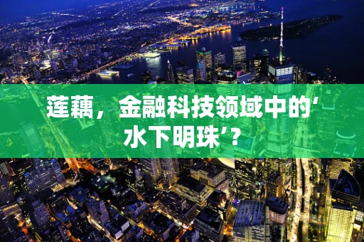 莲藕，金融科技领域中的‘水下明珠’？