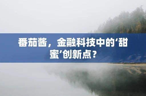 番茄酱，金融科技中的‘甜蜜’创新点？