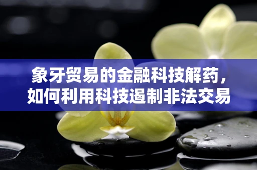 象牙贸易的金融科技解药，如何利用科技遏制非法交易？