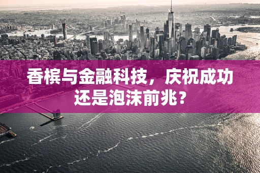香槟与金融科技，庆祝成功还是泡沫前兆？