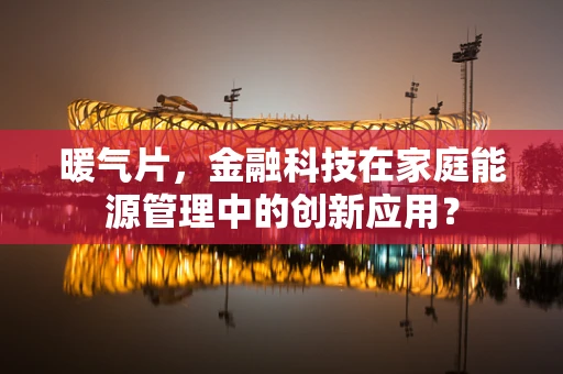 暖气片，金融科技在家庭能源管理中的创新应用？