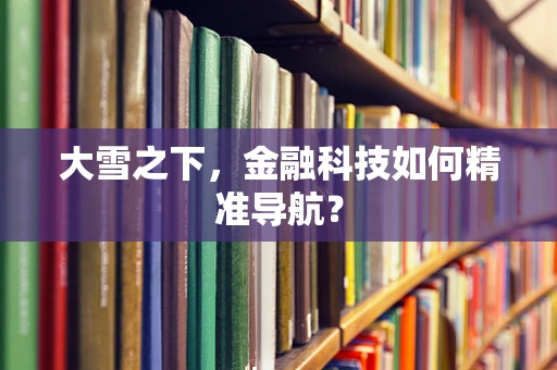 大雪之下，金融科技如何精准导航？