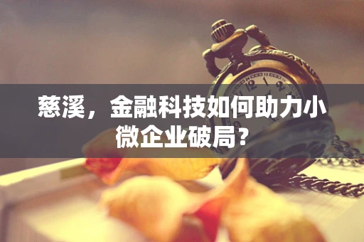 慈溪，金融科技如何助力小微企业破局？
