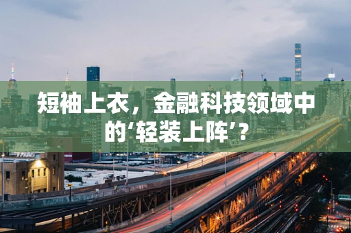 短袖上衣，金融科技领域中的‘轻装上阵’？