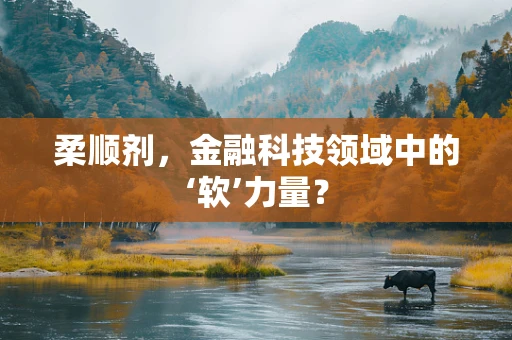 柔顺剂，金融科技领域中的‘软’力量？