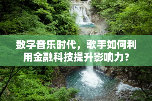 数字音乐时代，歌手如何利用金融科技提升影响力？