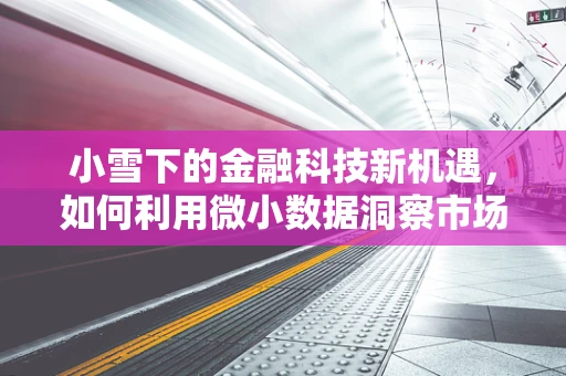 小雪下的金融科技新机遇，如何利用微小数据洞察市场脉搏？