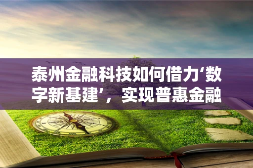 泰州金融科技如何借力‘数字新基建’，实现普惠金融新飞跃？
