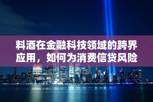料酒在金融科技领域的跨界应用，如何为消费信贷风险控制增添‘调味’？