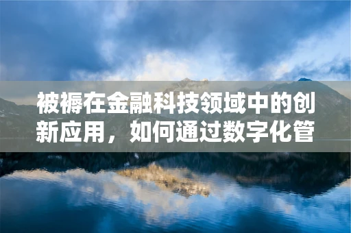 被褥在金融科技领域中的创新应用，如何通过数字化管理提升用户体验？